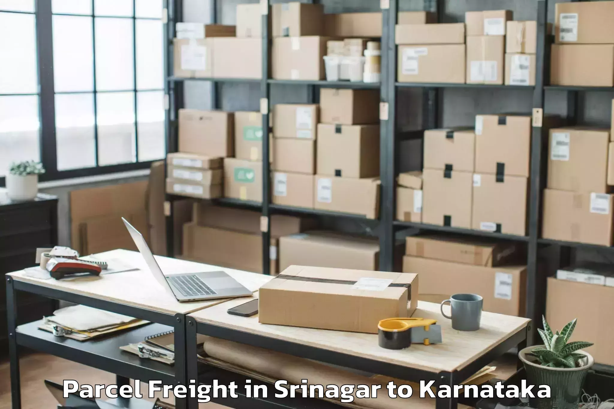 Book Srinagar to Huliyar Parcel Freight Online